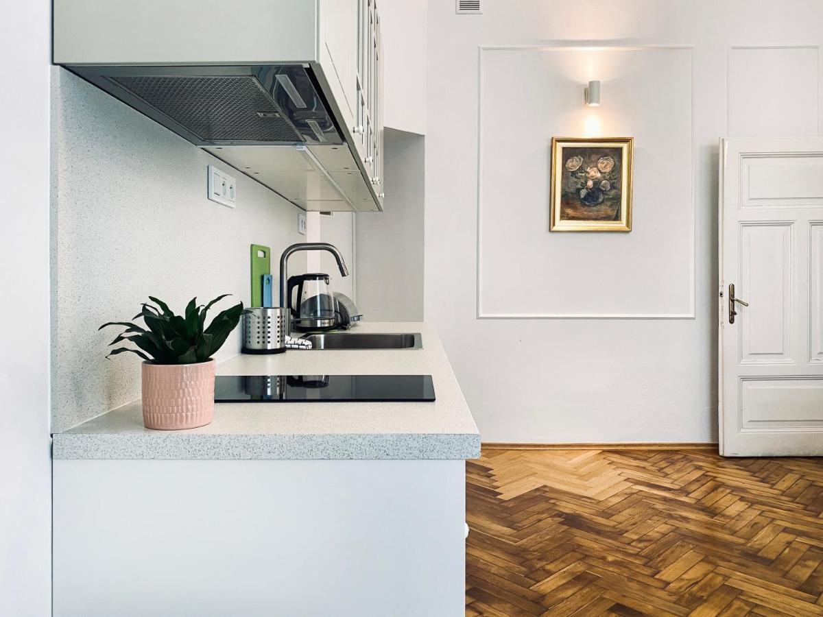 Beautiful Apartment With Two Rooms, Cracow Old Town Krakov Exteriér fotografie